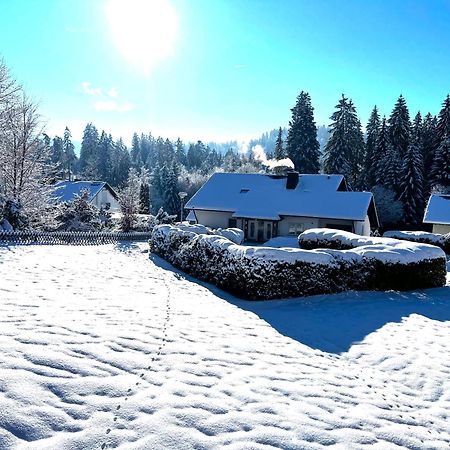 Michels Apartment Titisee-Neustadt Εξωτερικό φωτογραφία