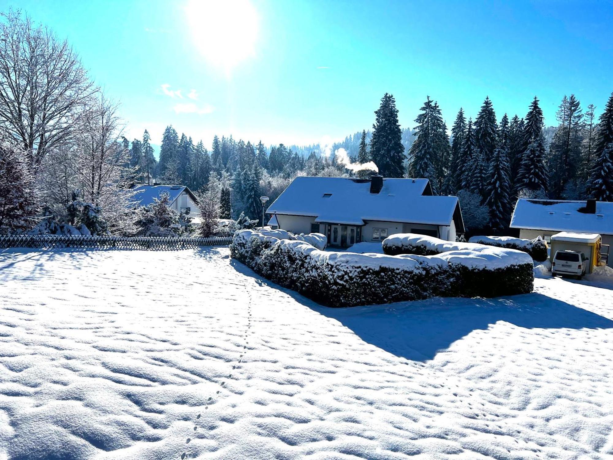 Michels Apartment Titisee-Neustadt Εξωτερικό φωτογραφία