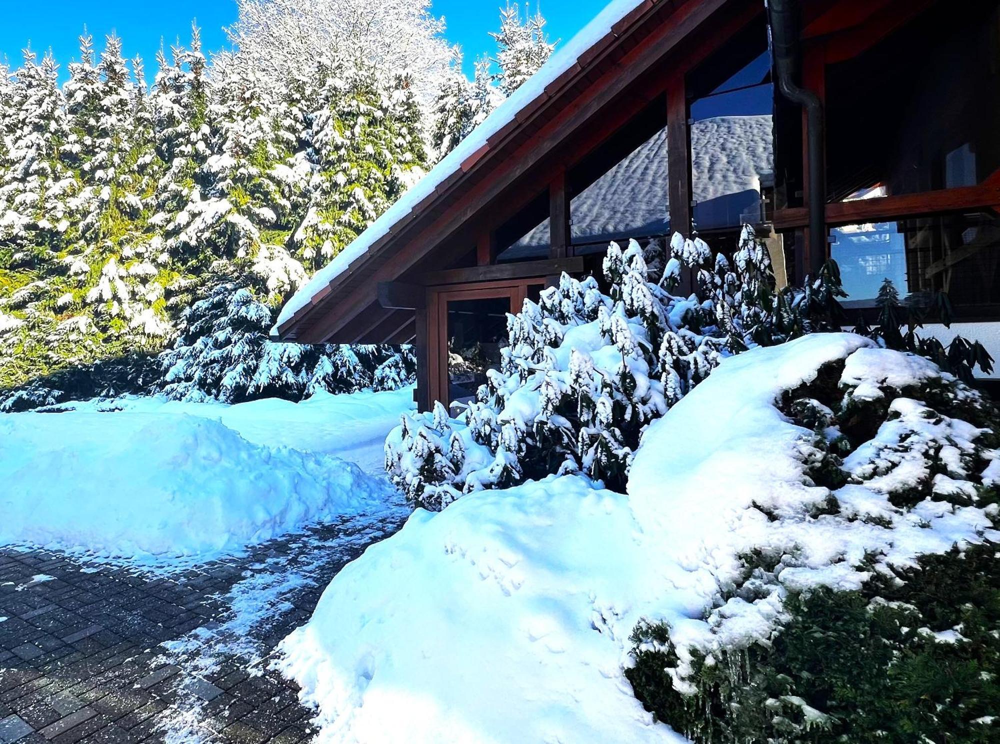 Michels Apartment Titisee-Neustadt Εξωτερικό φωτογραφία